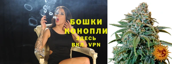прущие крисы Белокуриха