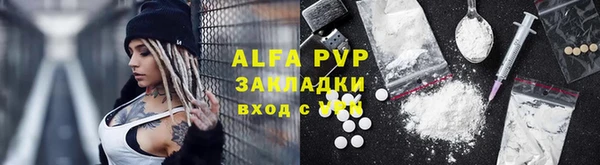 прущие крисы Белокуриха