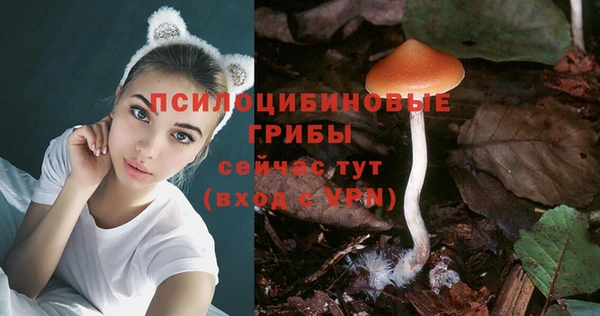 прущие крисы Белокуриха