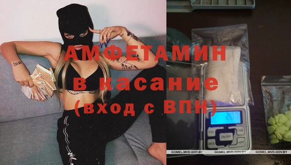 мяу мяу мука Беломорск