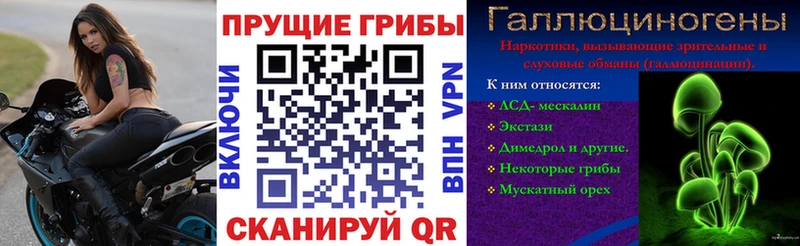 Псилоцибиновые грибы Magic Shrooms  Купить где  Нестеровская 