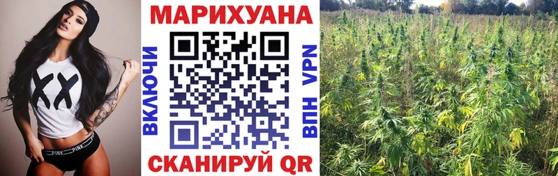 Канабис сатива Купить где Нестеровская